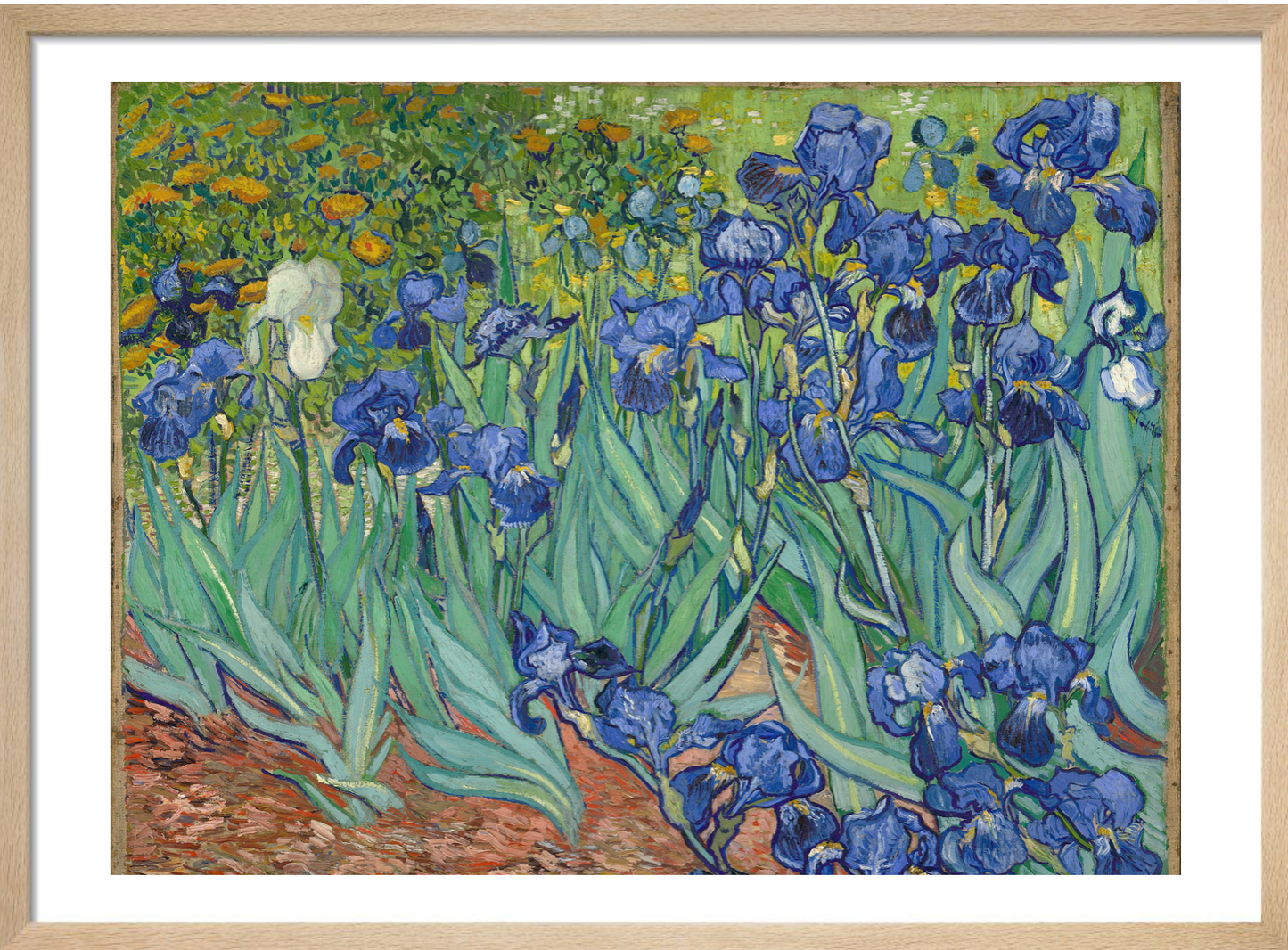 Irises by Vincent van Gogh, 1889