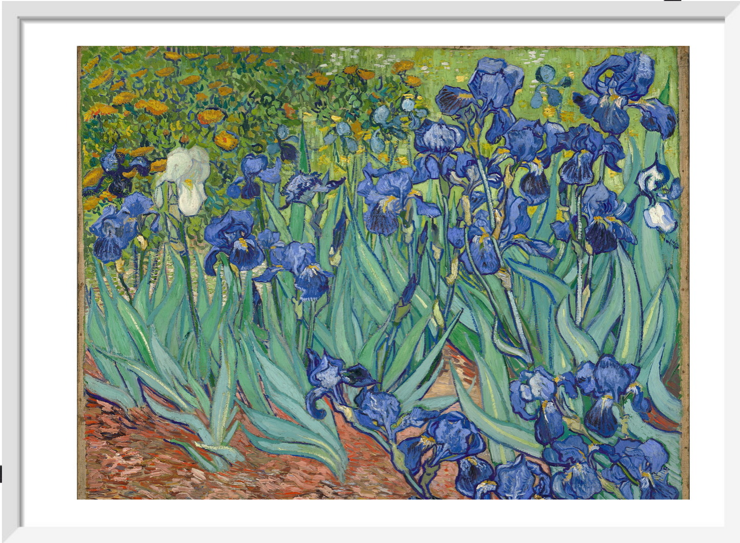 Irises by Vincent van Gogh, 1889