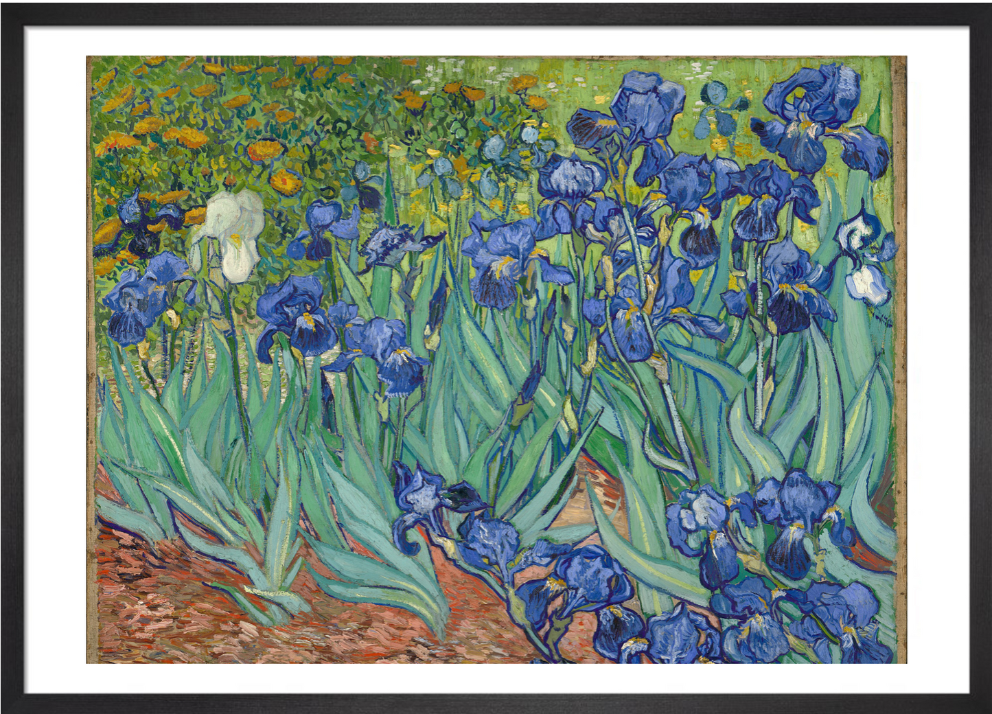 Irises by Vincent van Gogh, 1889