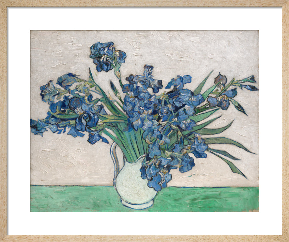 Irises By Vincent Van Gogh